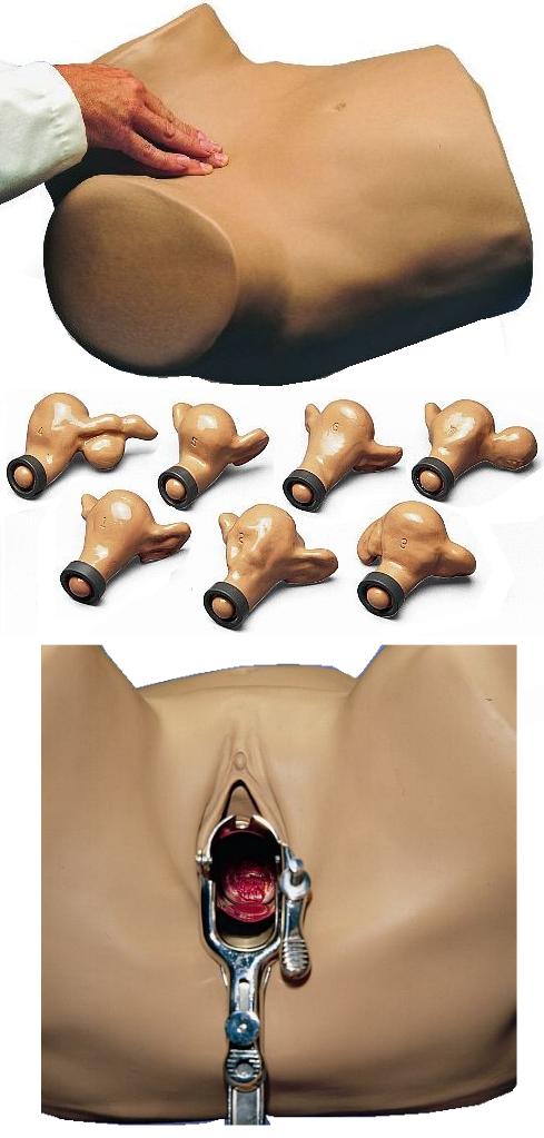 SIMULATORE GINECOLOGICO - esame utero, bacino e stati patologici