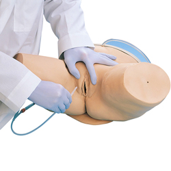 SIMULATORE PER CATETERISMO FEMMINILE - peso 7,8kg - 61x40,5x33cm - con catetere + crema + valigetta per trasporto