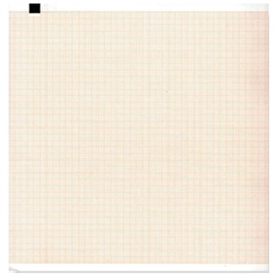 PACCO CARTA TERMICA ECG ESAOTE BIOMEDICA Archimed 4240 / Archiwin - 210x300mm x 200 fogli