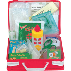 KIT PRONTO SOCCORSO VALIGETTA 626 - 25x19x9cm - ALLEGATO 2 - fino 2 lavoratori - compatta e resistente