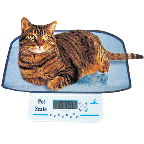 BILANCIA VETERINARIA DIGITALE PER PICCOLI ANIMALI - 20kg