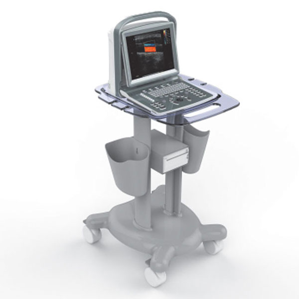 ECOGRAFO ECOCOLORDOPPLER PORTATILE CHISON ECO-5 - senza sonde