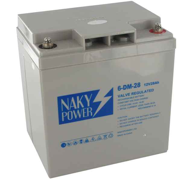 BATTERIA per SEDIA A ROTELLE CARROZZINA ELETTRICA LIBERTY