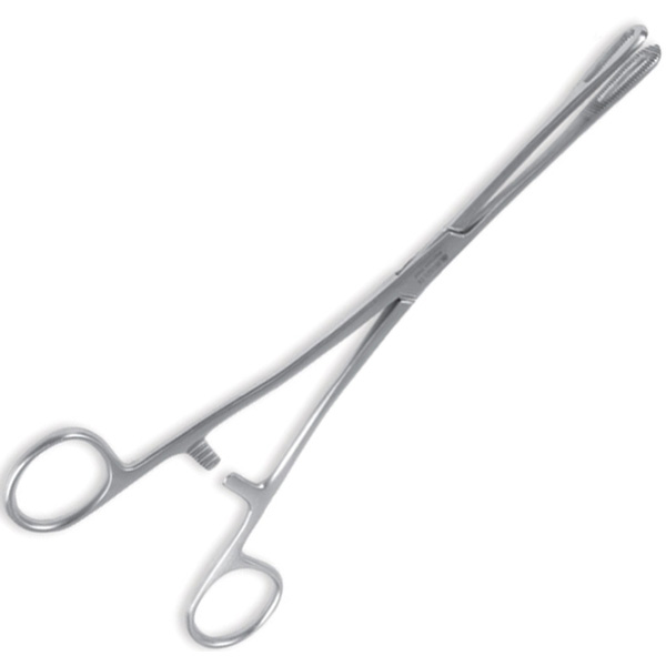 PINZA RAMPLEY in acciaio inox - varie misure