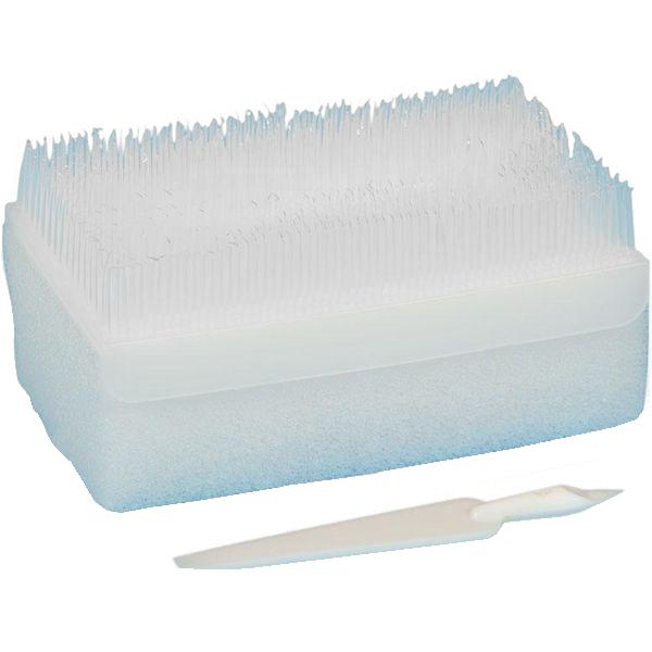 KIT SPAZZOLA SCRUB PVP-IODINE - completo di spazzola, spugna e pulisci-unghie - Conf.30pz