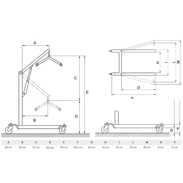 SOLLEVATORE SOLLEVAMALATI ELETTRICO ATTUATORE TiMOTION MUEVO - max 150KG - con imbragatura 