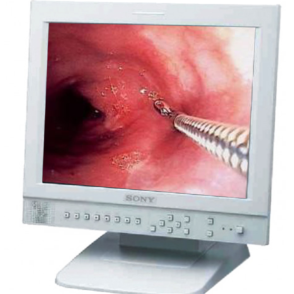 MONITOR MULTIPARAMETRICO PAZIENTE MEDICALE SONY LMD 1530 - display 15"