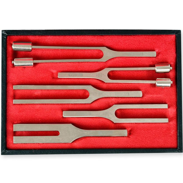 TROUSSE DIAPASON LEGA - 5 pezzi